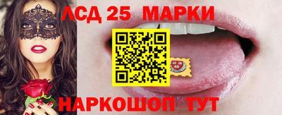 стафф Кингисепп
