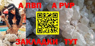 стафф Кингисепп