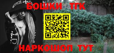 стафф Кингисепп