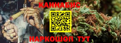 стафф Кингисепп