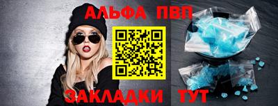 стафф Кингисепп