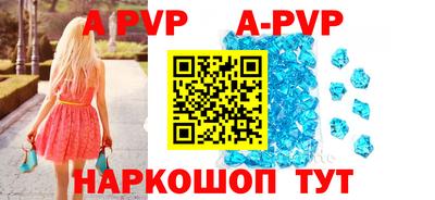 стафф Кингисепп