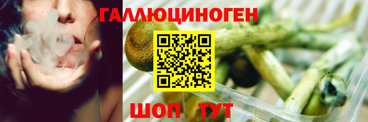 Псилоцибиновые грибы MAGIC MUSHROOMS Рассказово